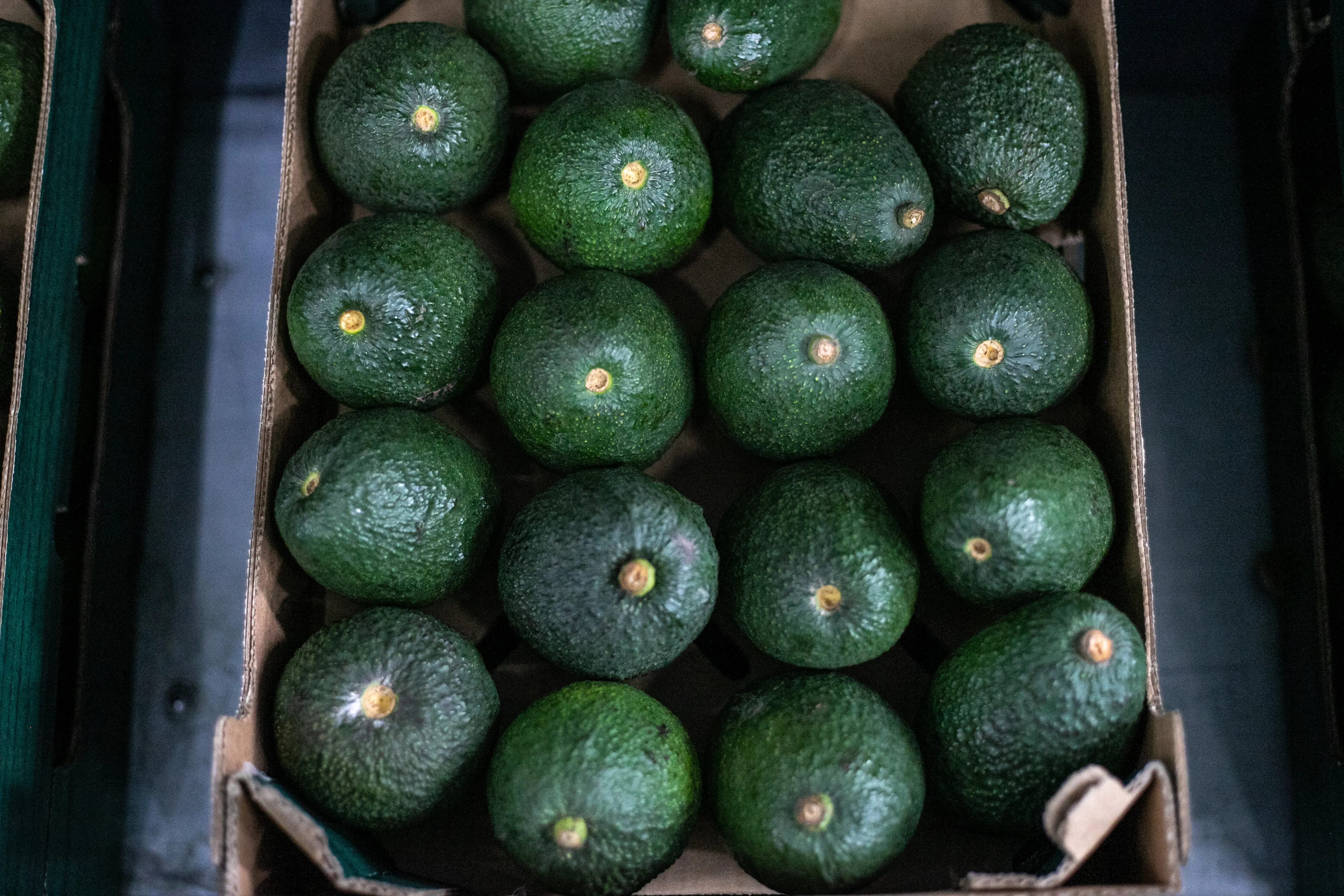 Control de comercialización